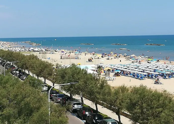 Duchi Della Rovere * Сенігаллія